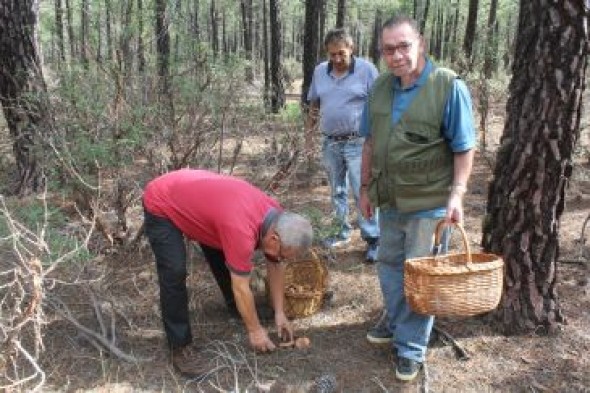 La Comunidad de Albarracín cierra el parque micológico