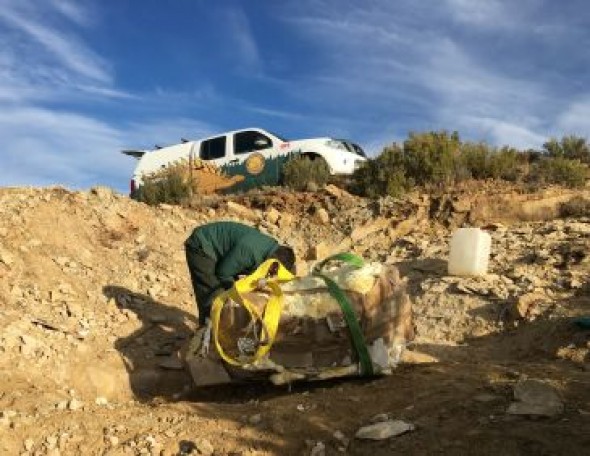 Paleontólogos de Dinópolis descubren un nuevo ejemplar de dinosaurio turiasaurio en Riodeva