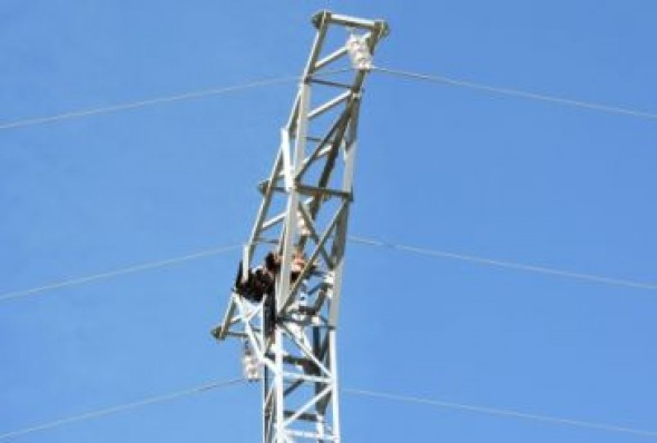 Más de 200 tendidos eléctricos en Teruel representan un peligro para las aves