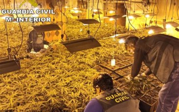 La Guardia Civil de Teruel detiene a otras tres personas en una operación por cultivo de marihuana que se cierra con 14 arrestados