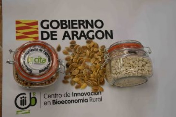 El Banco de Semillas del CITA en Teruel, a pleno rendimiento