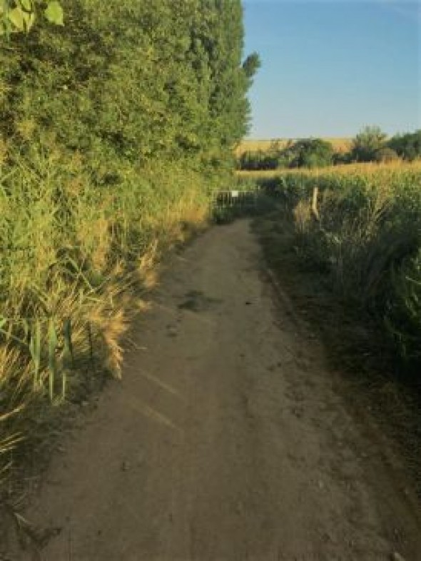 Espacio Municipalista de Teruel pide que se actúe en los caminos rurales