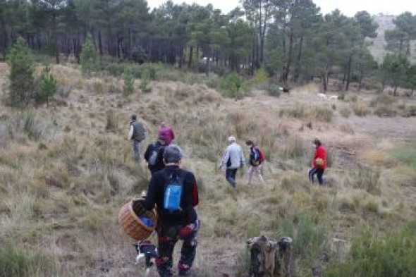 Las jornadas micológicas de la Comarca de Teruel, con participantes pero sin setas