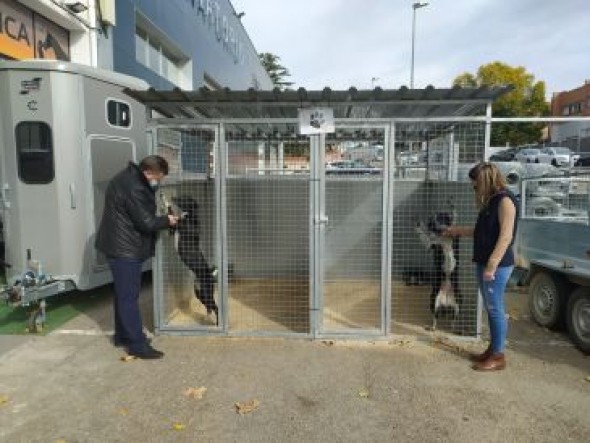 El Centro de Acogida de Animales de Teruel anima a la adopción