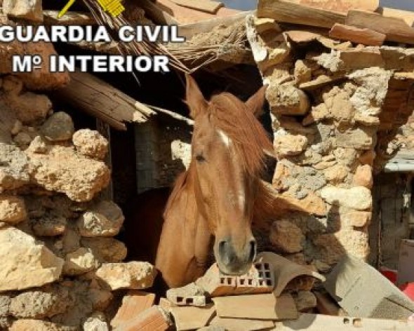 La Guardia Civil de Teruel investiga a una persona como presunta autora de un delito de maltrato animal en la localidad de Perales del Alfambra