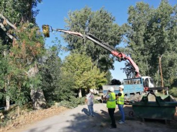 El Ayuntamiento de Teruel retirará los árboles que se encuentran en mal estado en La Moratilla