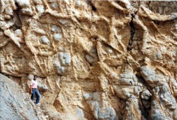 Aragón celebrará el Geolodía en el yacimiento de Bueña el próximo 9 de mayo