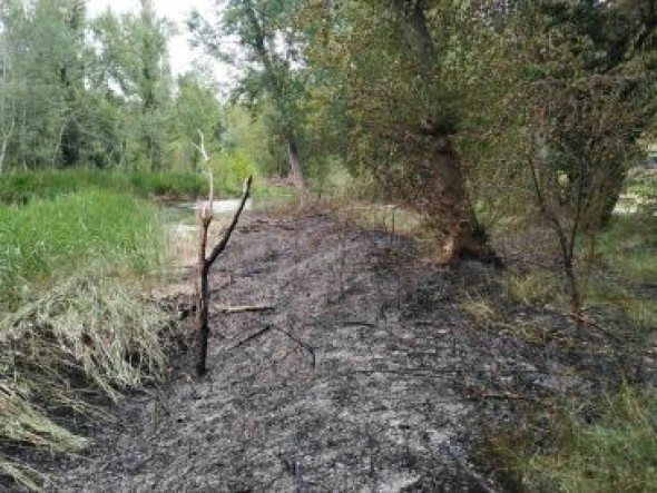 Incendio en la ribera del Guadalope a su paso por Alcañiz