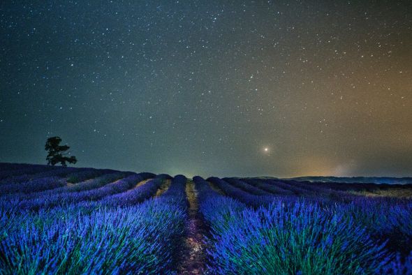 Poemas visuales y escritos se convierten en goteros de vida para los niños con cáncer