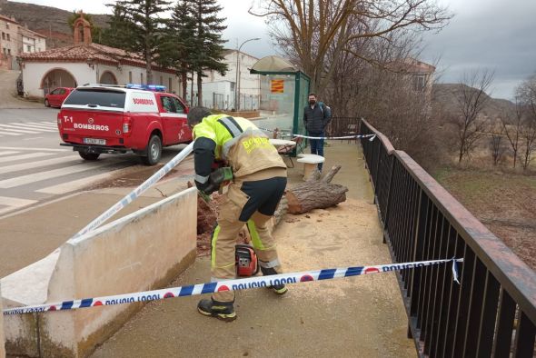 Los bomberos de la DPT atienden una quincena de incidencias causadas por el fuerte viento en Teruel y su entorno