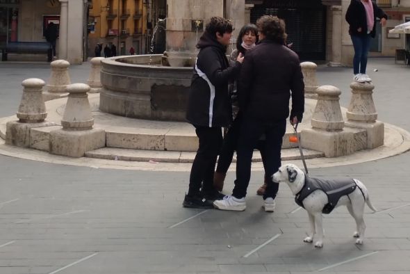 Una ordenanza municipal mejorará la convivencia con perros y gatos en Teruel