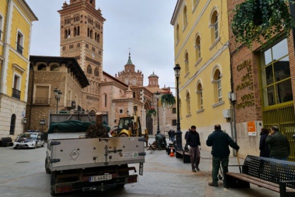 El Ayuntamiento de Teruel repone árboles que no han sobrevivido a las heladas tras la borrasca Filomena