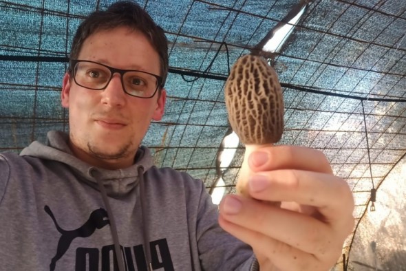 Un farmacéutico logra cultivar colmenillas en una finca experimental de Sarrión