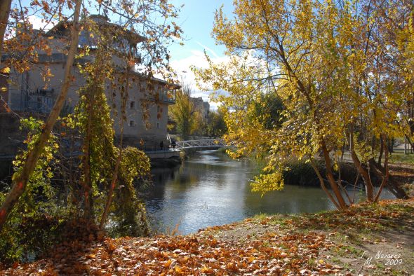 Sale a concurso el contrato para la limpieza de la ribera del Guadalope en Alcañiz