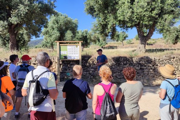 La Comarca del Bajo Aragón lleva a 40 vecinos a conocer las oliveras de la variedad Manzanella