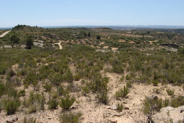 Los cazadores de Alcañiz tendrán cuatro zonas de aprovechamiento cinegético