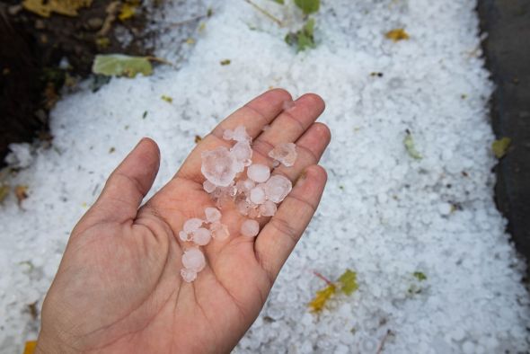 Caja Rural de Teruel pone líneas de financiación a disposición de los agricultores afectados por las tormentas de granizo