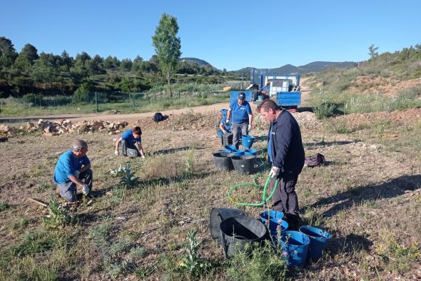 El taller de empleo forestal acondiciona dos montes de utilidad pública en Orihuela del Tremedal