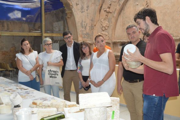 El laboratorio BIVO de Aguaviva emplea a ocho personas para elaborar biomateriales