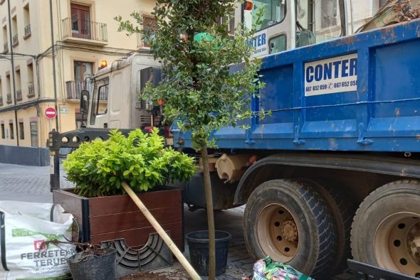 El Ayuntamiento de Teruel repondrá 45 árboles en la Operación Otoño