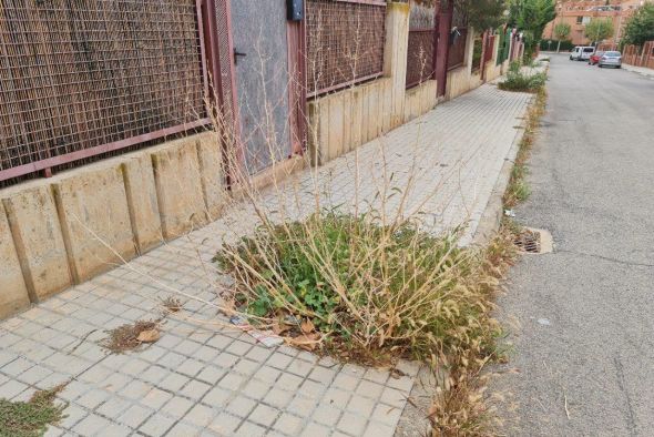 El Ayuntamiento de Teruel mejorará el ajardinamiento de las calles transversales del barrio de la Fuenfresca