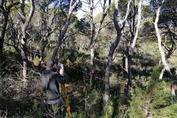 El Ayuntamiento de Alcañiz pedirá subvenciones al Gobierno de Aragón para la gestión medioambiental de los montes de utilidad pública