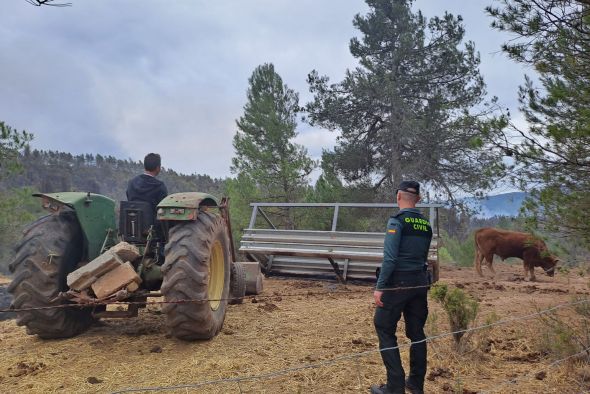 Los vecinos de Olba acceden a sus tierras acompañados por la Guardia Civil para dar comida a sus animales