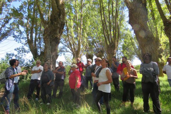 La Universidad de Verano de Teruel profundizará en el conocimiento del chopo cabecero