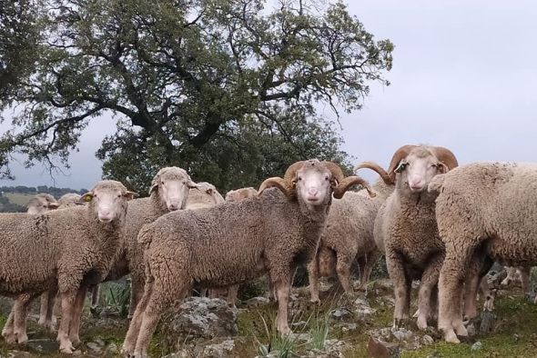 La Diputación de Teruel renueva su apoyo a las razas y productos autóctonos de la provincia