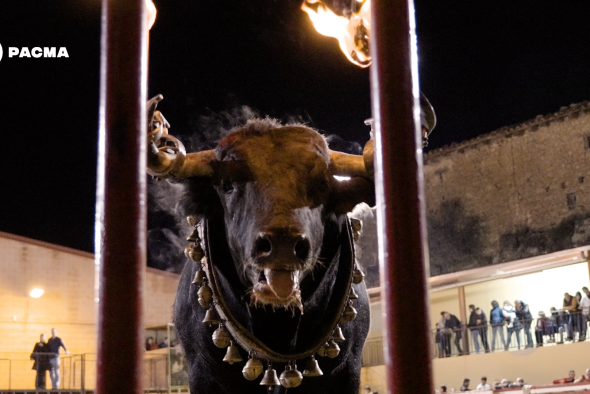 PACMA denuncia el festejo del toro embolado de Mosqueruela en un documental