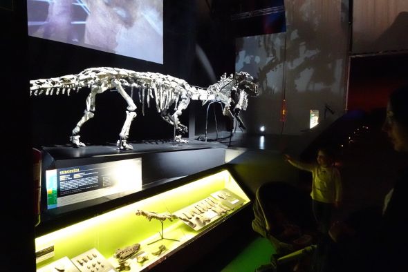 El Museo Paleontológico de Dinópolis reluce con la nueva iluminación de sus salas expositivas