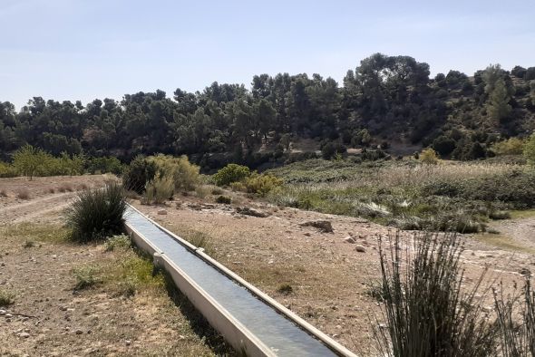 Alcañiz ordenará y contabilizará las especies del monte de La Mangranera