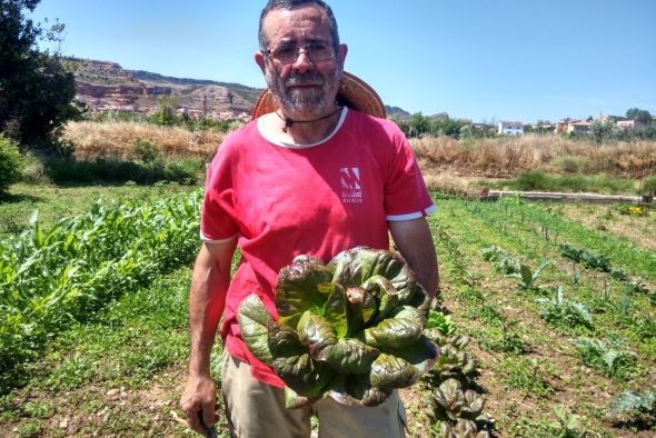 Teruel ha cultivado en la última década más de un centenar de legumbres y hortalizas autóctonas