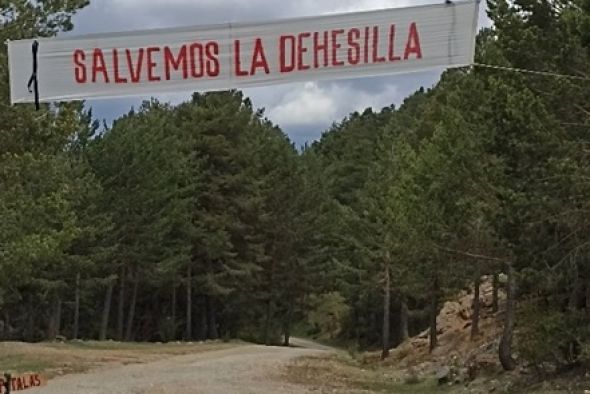 Teruel Existe y Partido Popular en Griegos y Guadalaviar exigen el cese de la tala de pinos