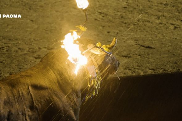 El Partido Animalista (PACMA) denuncia que un toro se quemó durante más de un minuto en un festejo en Villastar