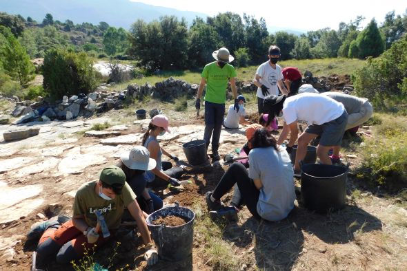 El curso de Paleontología de la Universidad de Verano ampliará el yacimiento de El Pozo