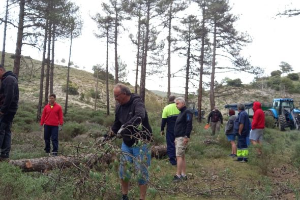 Cuevas Labradas planta el pino de San Juan, una tradición que no se celebraba desde el 2012