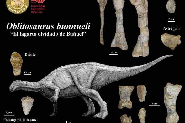 Investigadores de la Fundación Dinópolis descubren el mayor dinosaurio ornitópodo del Jurásico de Europa