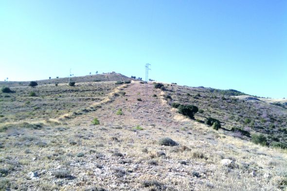 Agricultura estudia los trazados y anchura de las vías pecuarias para afianzar la propiedad