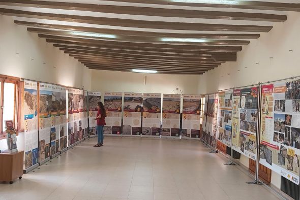 Aliaga acoge una muestra de los yacimientos paleontológicos de Teruel declarados BIC