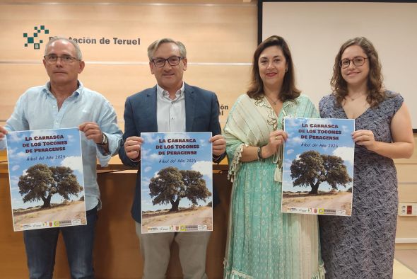 La Carrasca de los Tocones de Peracense, candidata a Árbol del Año 2024 en España