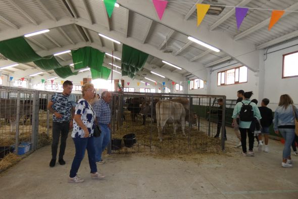 La subasta de ganado de Cantavieja demuestra el compromiso del sector  por la mejora genética