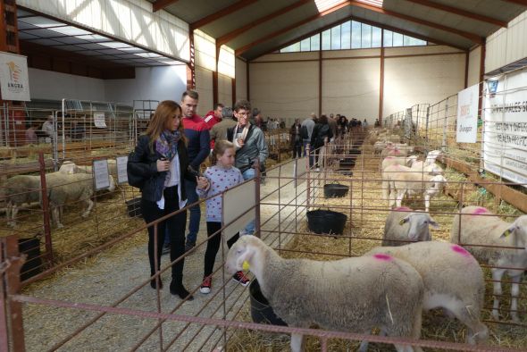 La Feria de Cedrillas se hace más profesional con talleres y charlas