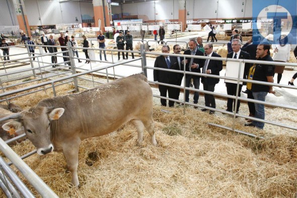 La media de edad de los titulares de explotaciones agrarias en Teruel se sitúa en 61 años