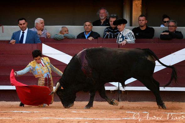 Marco Pérez, el  ‘niño prodigio’ de la tauromaquia, estará en Cella en agosto