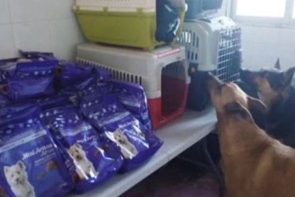 El Ayuntamiento de Utrillas dona un lote de sacos de pienso para los perros de la Protectora