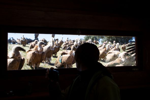 Los 'hides' de la laguna de Gallocanta suman hasta 140 reservas durante la campaña 2022-2023