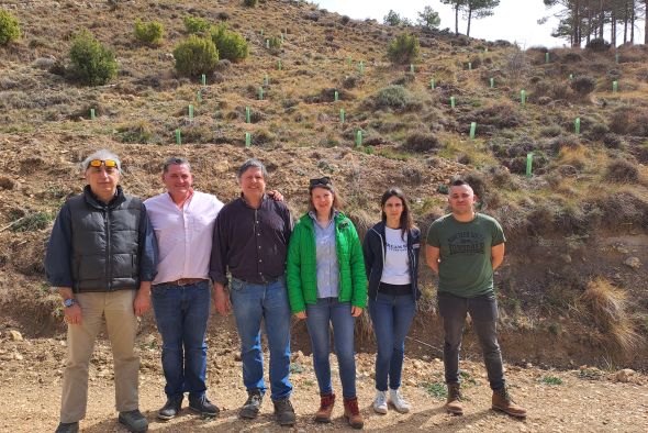 Gobierno aragonés, Coca-Cola y Sylvestris reforestan el 25 % del perímetro del incendio Aliaga-Ejulve