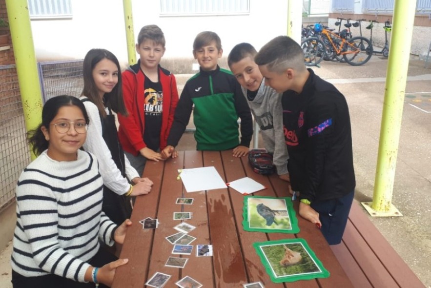 Educación distingue este jueves a seis centros por su labor en la Gala de la Educación Turolense