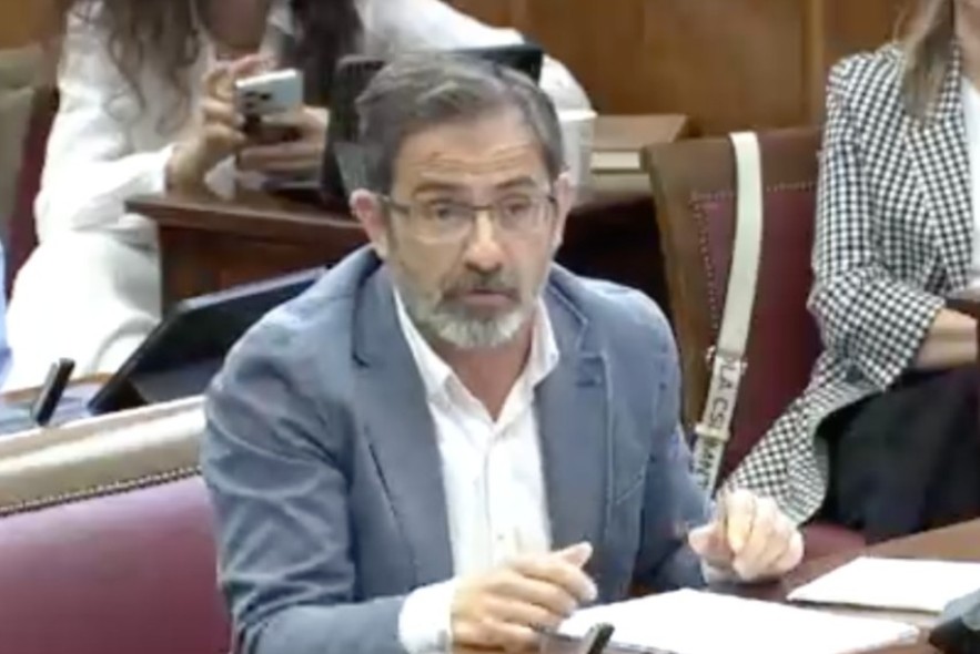 Carlos Boné defiende en el Senado una campaña para el acogimiento familiar